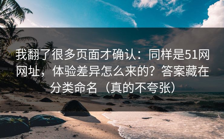 我翻了很多页面才确认：同样是51网网址，体验差异怎么来的？答案藏在分类命名（真的不夸张）