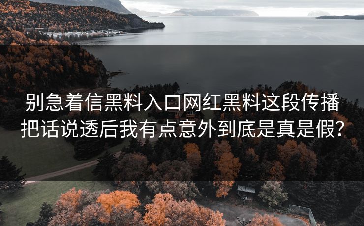 别急着信黑料入口网红黑料这段传播把话说透后我有点意外到底是真是假？