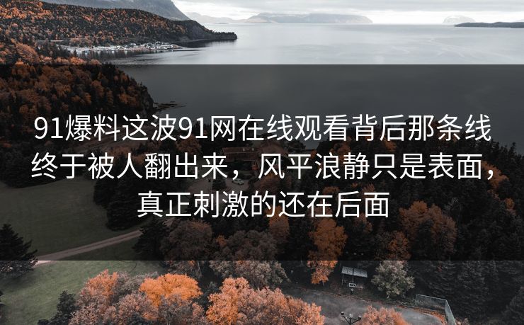 91爆料这波91网在线观看背后那条线终于被人翻出来，风平浪静只是表面，真正刺激的还在后面